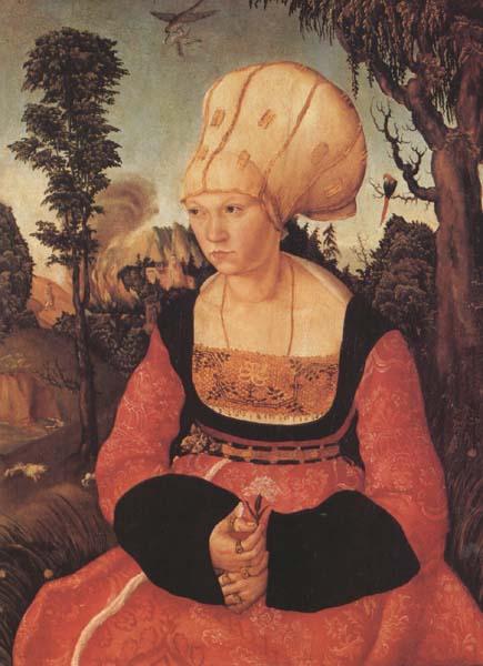 Lucas Cranach the Elder Anna Putsch,First Wife of Dr.johannes (mk45) Sweden oil painting art
